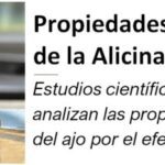 Aprovecha los beneficios de la alicina