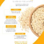 Aprovecha los beneficios de la avena en tu vida