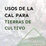 Aprovecha los beneficios de la cal en tu planta