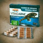 Aprovecha los beneficios de la carne de iguana