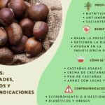 Aprovecha los beneficios de la castaña cocida
