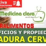 Aprovecha los beneficios de la cebada en tu cerveza