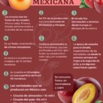 Aprovecha los beneficios de la ciruela durante el embarazo