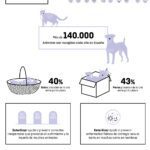 Aprovecha los beneficios de la esterilización