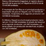 Aprovecha los beneficios de la jaca