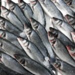 Aprovecha los beneficios de la lubina en tu dieta diaria