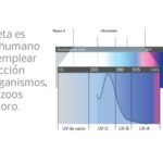 Aprovecha los beneficios de la luz ultravioleta