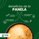 Aprovecha los beneficios de la panela en tu dieta diaria