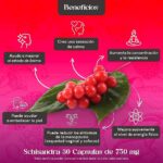 Aprovecha los beneficios de la schisandra