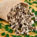 Aprovecha los beneficios de las semillas de moringa