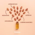 Aprovecha los beneficios del aceite de almendra dulce