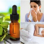 Aprovecha los beneficios del aceite de orégano