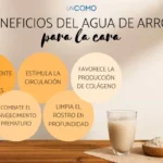 Aprovecha los beneficios del agua de arroz