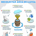 Aprovecha los beneficios del agua de lluvia