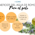 Aprovecha los beneficios del agua de romero para tu piel