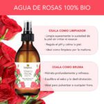 Aprovecha los beneficios del agua de rosas