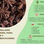 Aprovecha los beneficios del anís