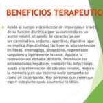 Aprovecha los beneficios del apio