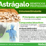 Aprovecha los beneficios del astrágalo