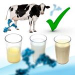 Aprovecha los beneficios del calostro de vaca