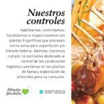 Aprovecha los beneficios del delicioso cordero
