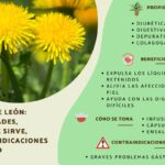 Aprovecha los beneficios del diente de león en ayunas