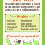 Aprovecha los beneficios del extracto de aloe vera