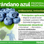 Aprovecha los beneficios del extracto de arándano