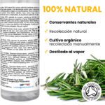 Aprovecha los beneficios del hidrolato de romero
