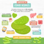Aprovecha los beneficios del nopal