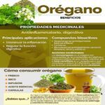 Aprovecha los beneficios del orégano seco