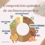 Aprovecha los beneficios del propóleo