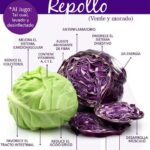 Aprovecha los beneficios del repollo