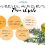 Aprovecha los beneficios del romero para tu cabello