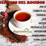 Aprovecha los beneficios del rooibos para tu salud
