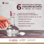 Aprovecha los beneficios del vinagre blanco