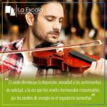 Aprovecha los beneficios del violín