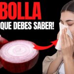 Aprovecha los increíbles beneficios del agua de cebolla