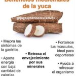 Aprovecha todos los beneficios de la mandioca