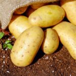 Aprovecha todos los beneficios de la patata