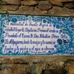 Aprovecha todos los beneficios del agua agria
