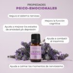 Aroma de bienestar: los beneficios de la esencia de lavanda