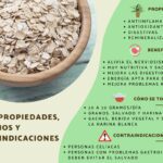 Avena cruda: la fuente de beneficios que necesitas