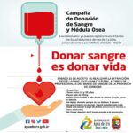 Ayuda y sumate: donar médula ósea