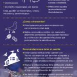 Beneficios alrededor de las palomas