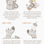 Beneficios caninos en la playa