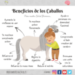 Beneficios de cabalgar