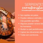 Beneficios de convivir con serpientes