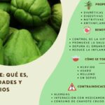 Los increíbles beneficios de la chayota cruda