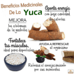 Los increíbles beneficios de la harina de yuca